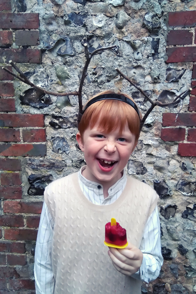 a boy wearing an antlers woodland animal headband made with twigs easy nature craft idea from the awesome childhood project blog