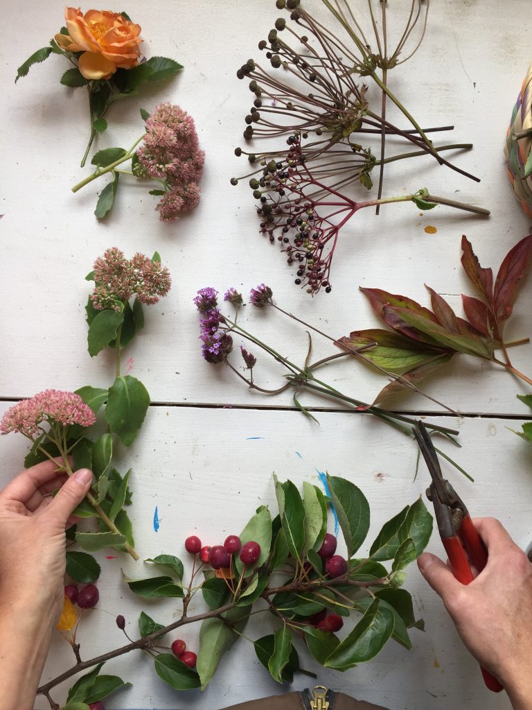 collecting foliage and flowers in September can yeeld some surprisingly colourful results